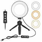 Kit Ring Light Iluminacao Profissional Com Tripe Youtuber Fot