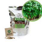 Kit - Rúcula Folha Larga (microverdes)