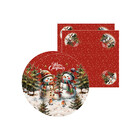 Kit Sousplat + Guardanapo Natal Boneco Neve Ii - 2 Peças - Co