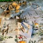 Kit Sousplat + Guardanapo Natal Inverno - 12 Peças - Com Base