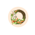 Kit Sousplat Páscoa Cenoura/salmão - 1 Peça - Sem Base