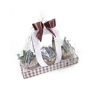 Kit Suculenta Pote 11