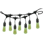 Kit Varal De Luzes 10m + 10 Lâmpadas Verde 220v Foxlux E-27