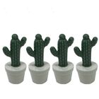 Kit Vasinhos Cacto - Pequeno