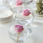 Kit Vaso Aquário Redondo Gigante, Grande E Médio 3pç Mistral