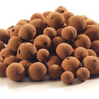 Kit Vaso Bacia + Muda De Jiboia Decoração Com Substrato Bege