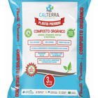 Kit Vaso Bacia + Muda De Jiboia Decoração Com Substrato Cinza