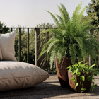 Kit Vaso de Planta Plástico Rusty Malta Naterial - 2 Unidades