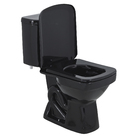 Kit Vaso Sanitário com Caixa acoplada e Assento Preto Duplo Acionamento 3/6L Vertical Lírio Fiori