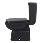 Kit Vaso Sanitário com Caixa Acoplada e Assento Preto Matte Duplo Acionamento 3/6L Vertical Lyon Plus Sensea