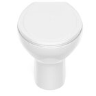 Kit Vaso Sanitário Convencional Com Assento Queda Amortecida