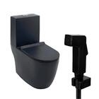 Kit Vaso Sanitário Monobloco Amazonita E Ducha Higiênica Para