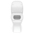 Kit Vaso Sanitário Rimless Com Assento Pp Softclose Vip Celit