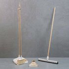 Kit Vassoura, Rodo, Escova Com Pá Grande E Pá Pequena 5 Pçs -