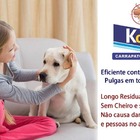 Koral Carrapatos E Pulgas No Ambiente 30ml