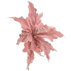 Laço Pronto 36x23x4 Ouro