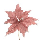 Laço Pronto 36x23x4 Ouro