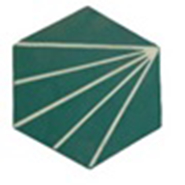 Ladrilho Hidráulico Hexagonal Raio Sol Turquesa E Branco 15x17cm Oficina Yby