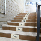 Ladrilho Hidráulico Quadrado Geranio Creme e Verde 20x20cm Oficina Yby