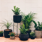 Ladrilho Hidráulico Quadrado Liso Branco 20x20cm Oficina Yby