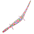 Lagarto Madeira Ilha do Ferro M - Rosa/multicor