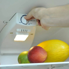 Lâmpada De Geladeira Foxlux 15w 220v