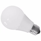 Lampada De Led 7w Bulbo Soquete E27 Branco Frio