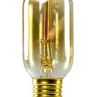 Lâmpada Filamento De Carbono T45 E27 25w 2400k 127v Dimerizáv