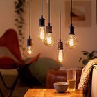 Lâmpada Globo G95 Filamento Conecta Alexa E Google Gaya 9875