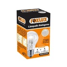 Lâmpada Halógena Clássica Foxlux 42w 220v Kit 10 Un
