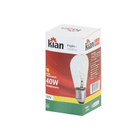 Lâmpada Incandescente Geladeira e Microondas Luz Amarela 40W Kian 127V (110V)