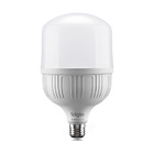 Lâmpada Inteligente Bulbo Elgin Led Rgb 30w Smart Color