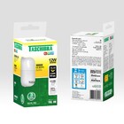 Lâmpada LED 12W 3000K E27 Bivolt