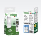 Lâmpada LED 12W 4000K Bivolt