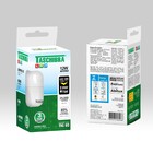 Lâmpada LED 12W 6500K Bivolt