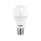 Lâmpada LED 15W 6500K Bivolt