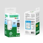 Lâmpada LED 17W 6500K Bivolt