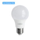 Lâmpada Led Bulbo 12w E27 Blumenau