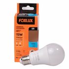 Lâmpada Led Bulbo 15w 6500k – Foxlux