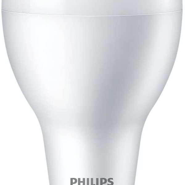 Lâmpada Led Bulbo 45w - 300w E40 5000lm 6500k Bivolt Philips