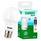 Lâmpada Led Bulbo 9w Branco Frio 6500k Bivolt Taschibra