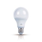 Lâmpada LED Bulbo Luz Branca 15W Bivolt OL