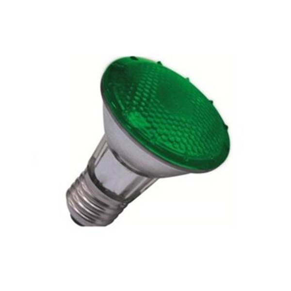 Lampada Led Par20 Luz Verde 7w Flc Bivolt Leroy Merlin