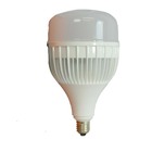 Lâmpada Led De Alta Potência Foxlux E-27 100w 6500k Bivolt