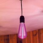 Lâmpada LED de Filamento Pêra Luz Rosa Bivolt 1W E27 Elgin