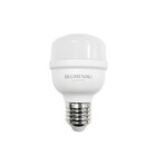 Lâmpada LED E27 Bulbo Gigante 20W 1600lm Branco Bivolt Blumenau Iluminação