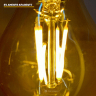 Lâmpada Led Filamento Vintage 3w Bulbo A60 Fumê Taschibra 220