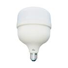 Lâmpada Led Globe Alta Potência 30w Branca Fria 6500k Kian