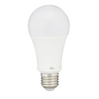 Lâmpada LED Bulbo Luz Branca 15W Kian Bivolt