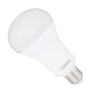 Lâmpada LED Bulbo Luz Branca 17W Osram Bivolt